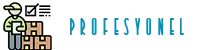 PROFESYONEL